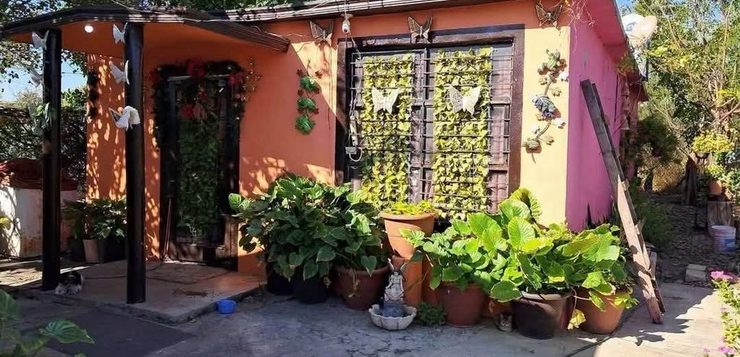 “CAMBIO MI CASA POR UN RIÑÓN PARA MI HIJA”: MUJER DE NUEVO LAREDO BUSCA SALVARLE LA VIDA A SU HIJA